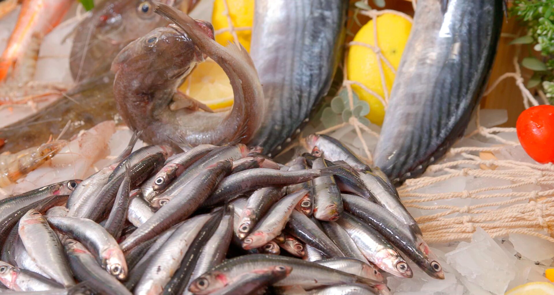 Come scegliere il pesce fresco? - Blog • Acadèmia.tv