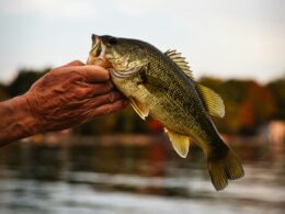 una mano afferra un pesce di lago dalla bocca, sullo sfondo si intravede un porto