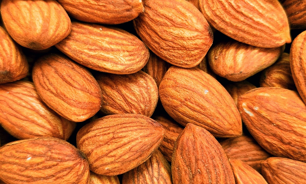 frutta secca