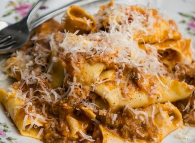 un piatto con della pappa al pomodoro condita con del formaggio grattuggiato