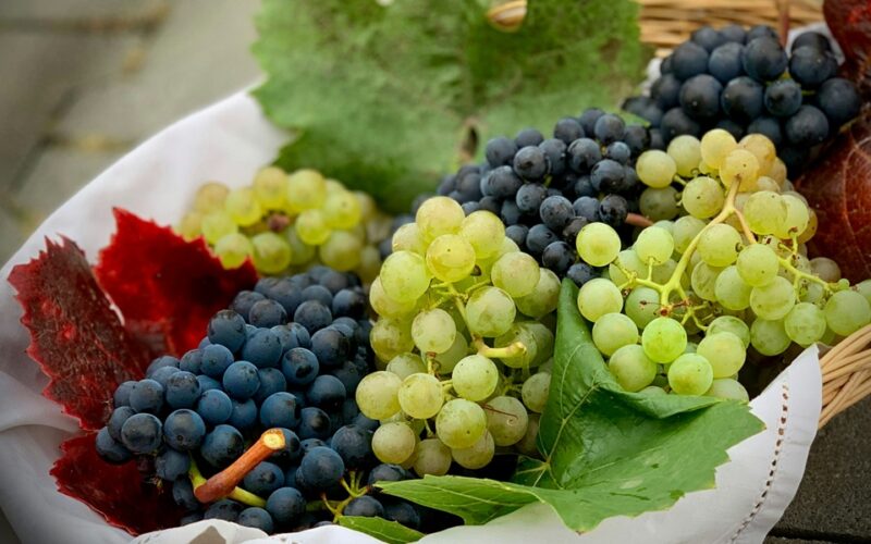 un cesto pieno di grappoli di uva da tavola di colore bianco e rosso/nero