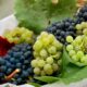 un cesto pieno di grappoli di uva da tavola di colore bianco e rosso/nero