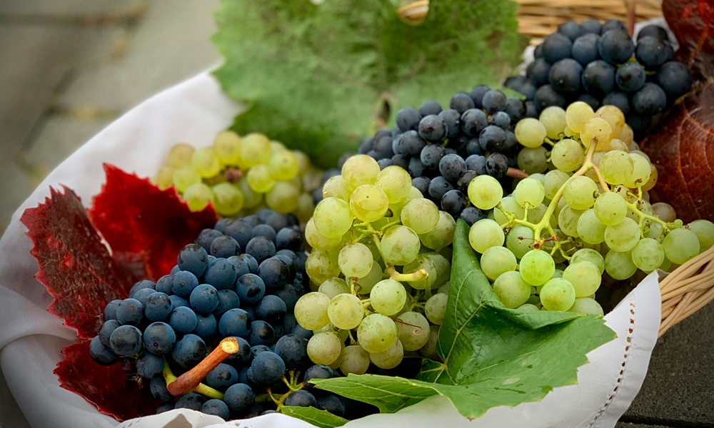 un cesto pieno di grappoli di uva da tavola di colore bianco e rosso/nero