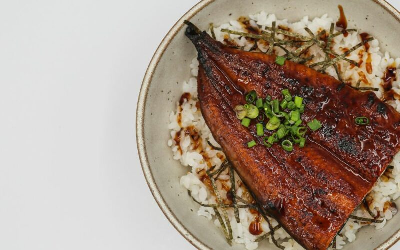 anguilla e capitone - Académia.tv