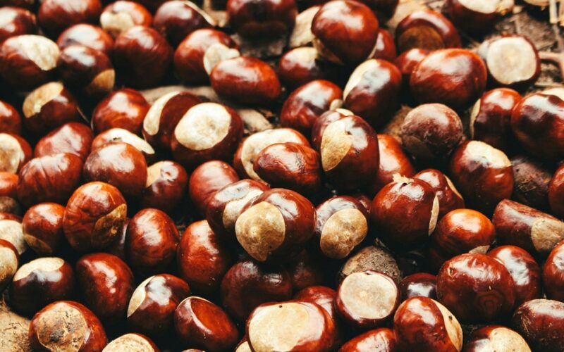 marron glacé - Académia.tv