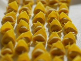 Scorpi le grandi preparazioni base della cucina italiana