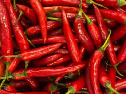 peperoncino