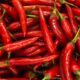 peperoncino