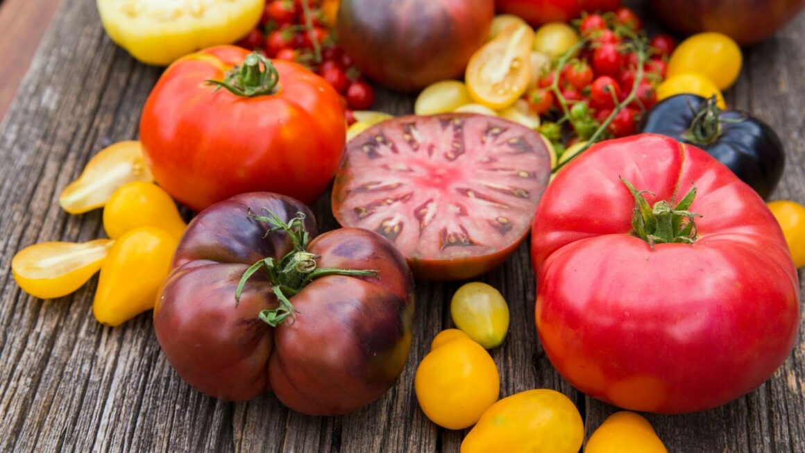 pomodori
