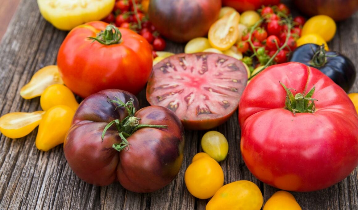 pomodori