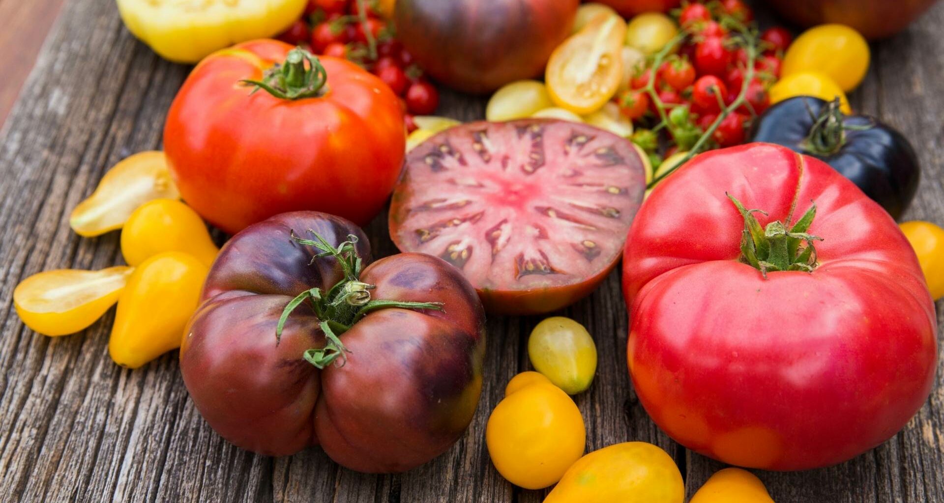 pomodori