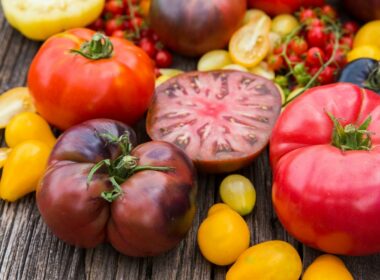 pomodori