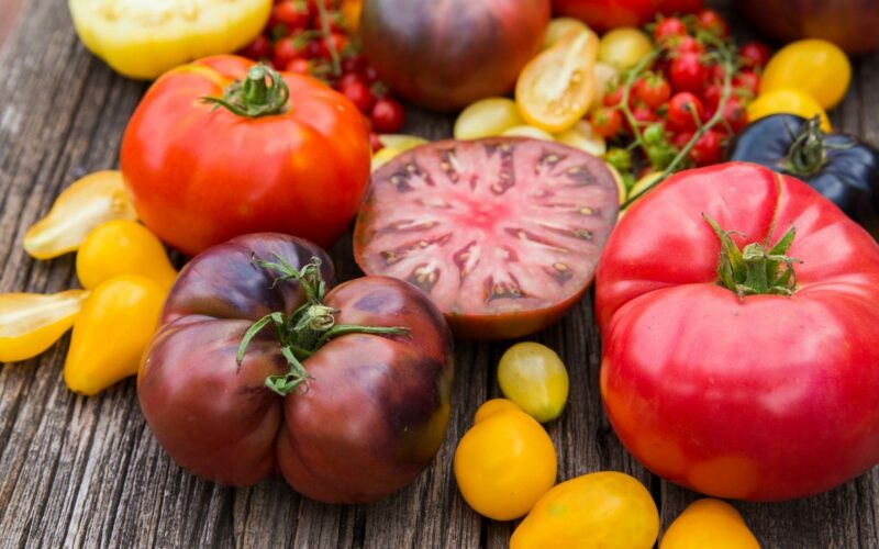 pomodori