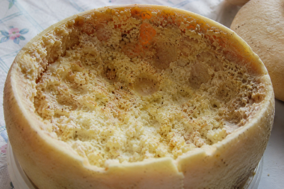 casu marzu