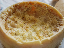 casu marzu
