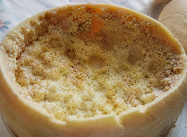 casu marzu