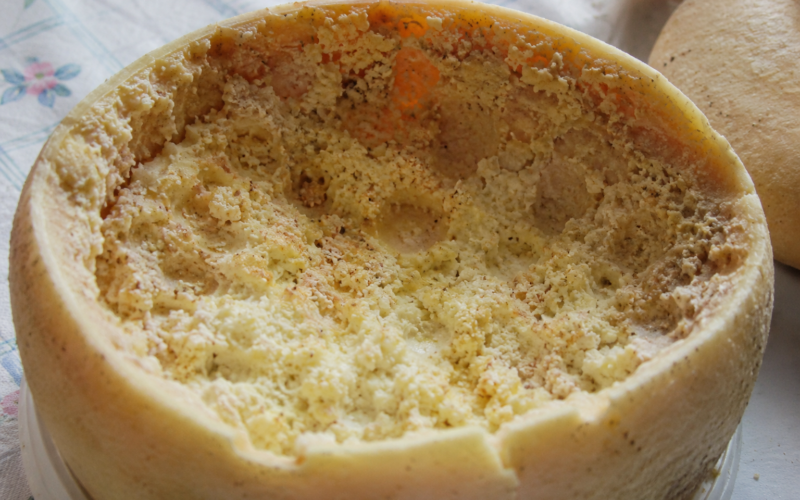 casu marzu