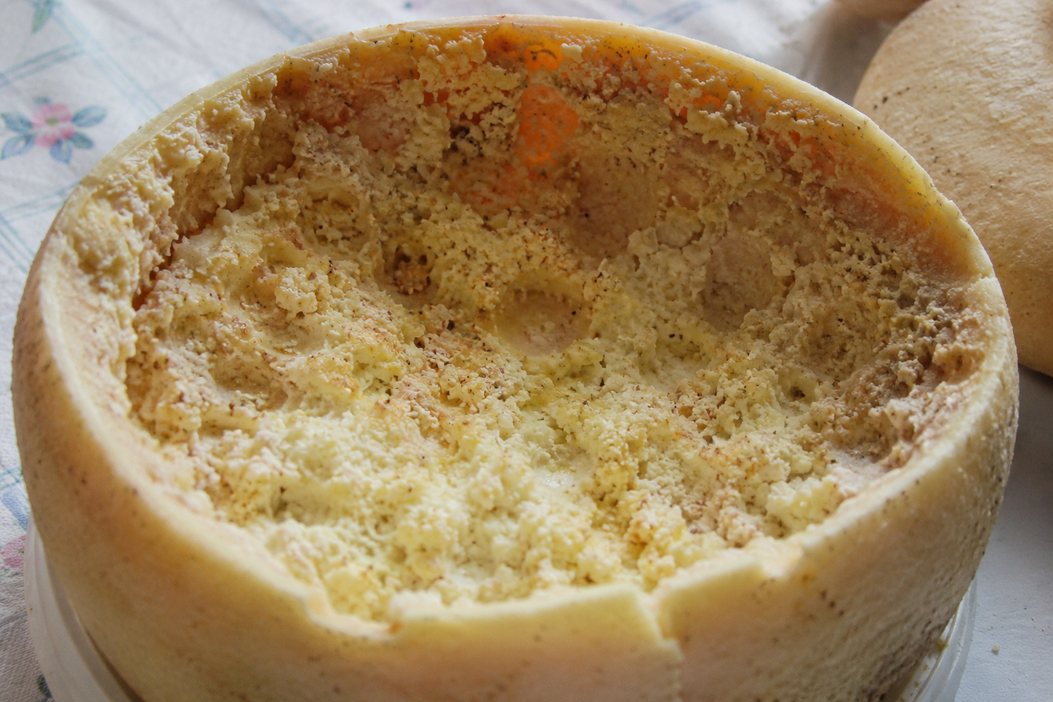 casu marzu