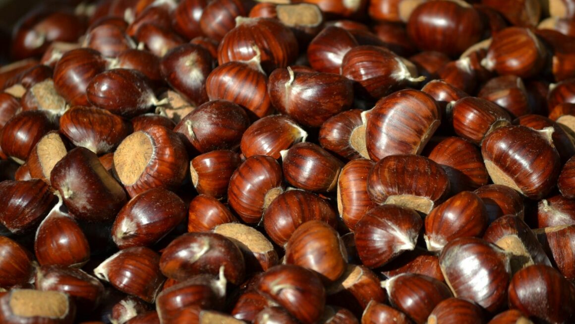 castagne