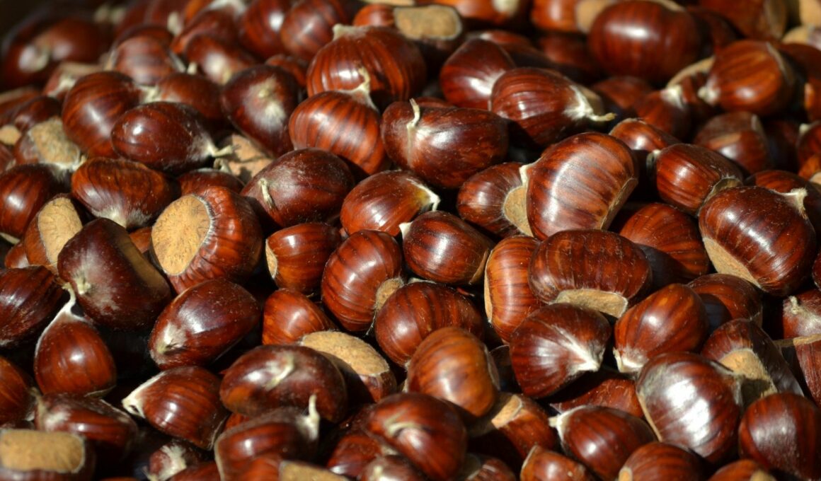 castagne