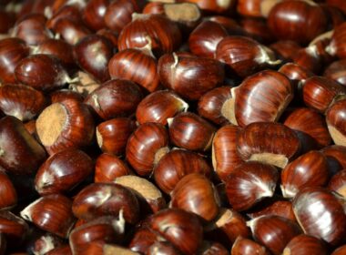 castagne