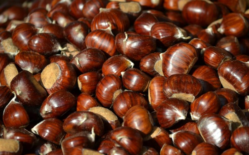 castagne