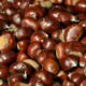 castagne